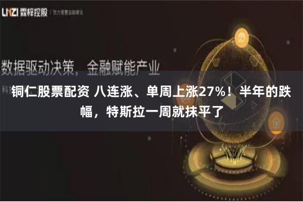 铜仁股票配资 八连涨、单周上涨27%！半年的跌幅，特斯拉一周就抹平了