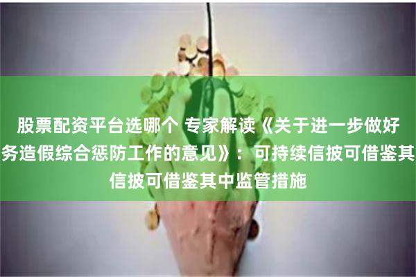股票配资平台选哪个 专家解读《关于进一步做好资本市场财务造假综合惩防工作的意见》：可持续信披可借鉴其中监管措施