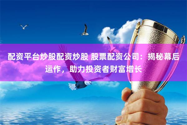 配资平台炒股配资炒股 股票配资公司:揭秘幕后运作,助力投资者财富增长